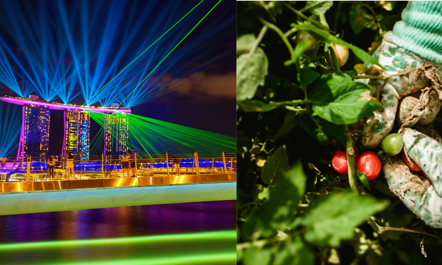 Marina Bay Sands, Gardens by the Bay and Evening Light Show